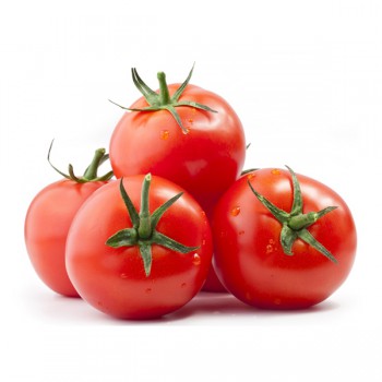 Celery (sold per kg) suppliers